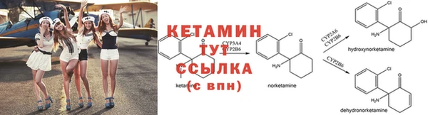 прущие грибы Верхнеуральск